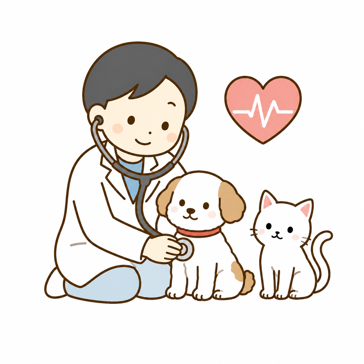 循環器疾患（心臓病）についての説明